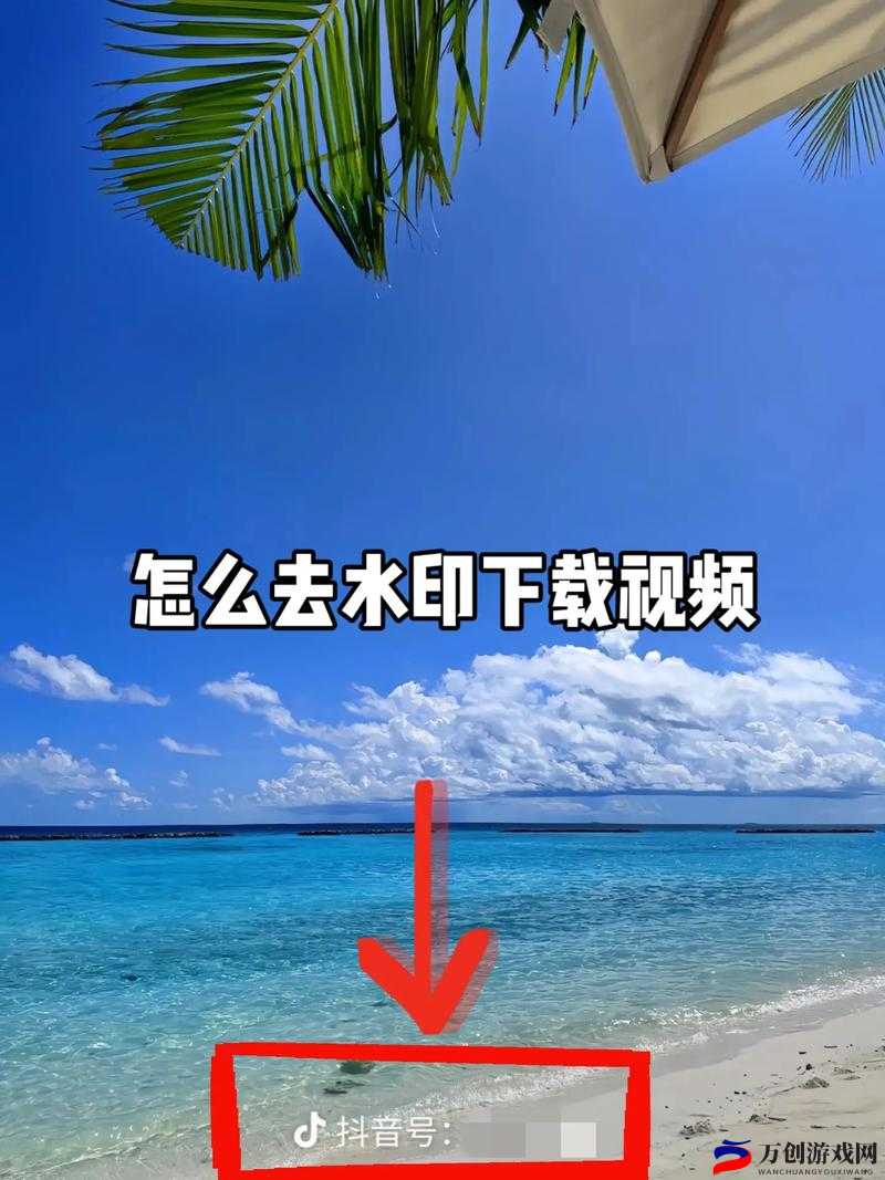 一个人怎么找视频：简单实用的方法分享