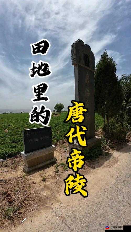 儿子耕种母亲的田地叫什么名字：探寻其中的奥秘