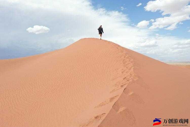 叼嗨视频：独特视角呈现精彩内容