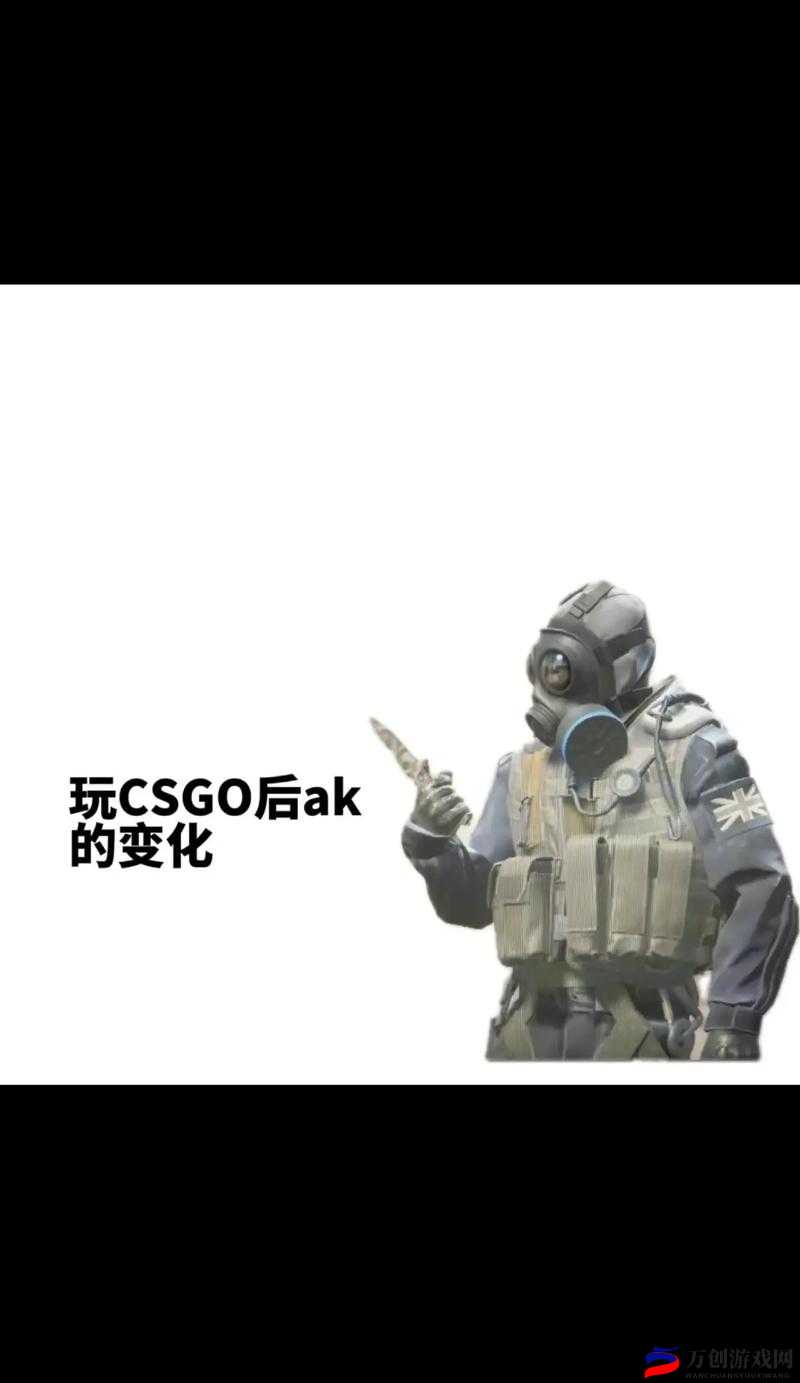 暴躁老阿姨 CSGO 技巧：榜一大哥的秘密武器