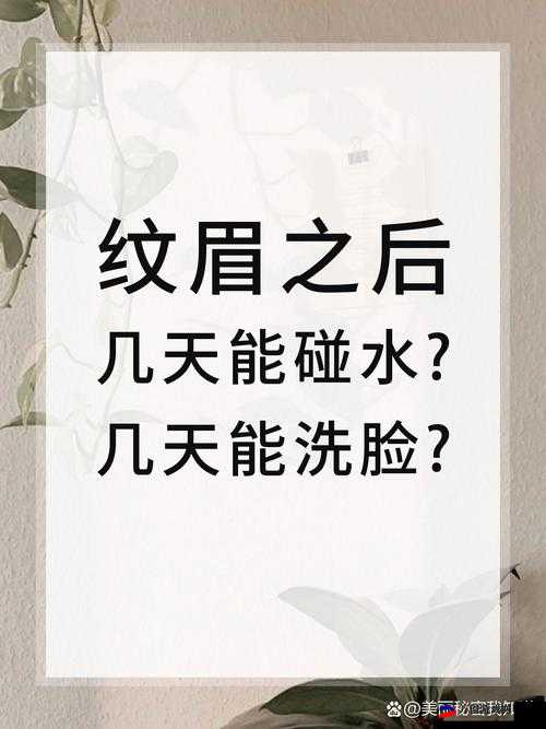 小东西几天不见水一般几天恢复：探究其背后原因