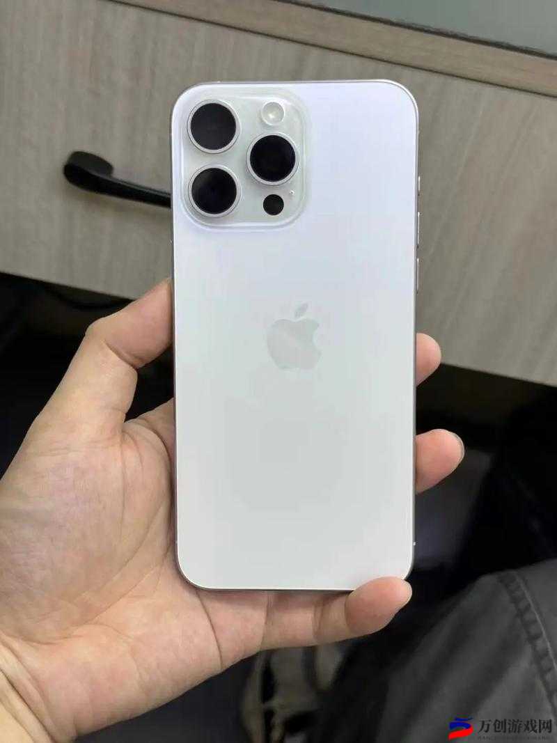 中国成熟 IPHONE：独具特色的手机