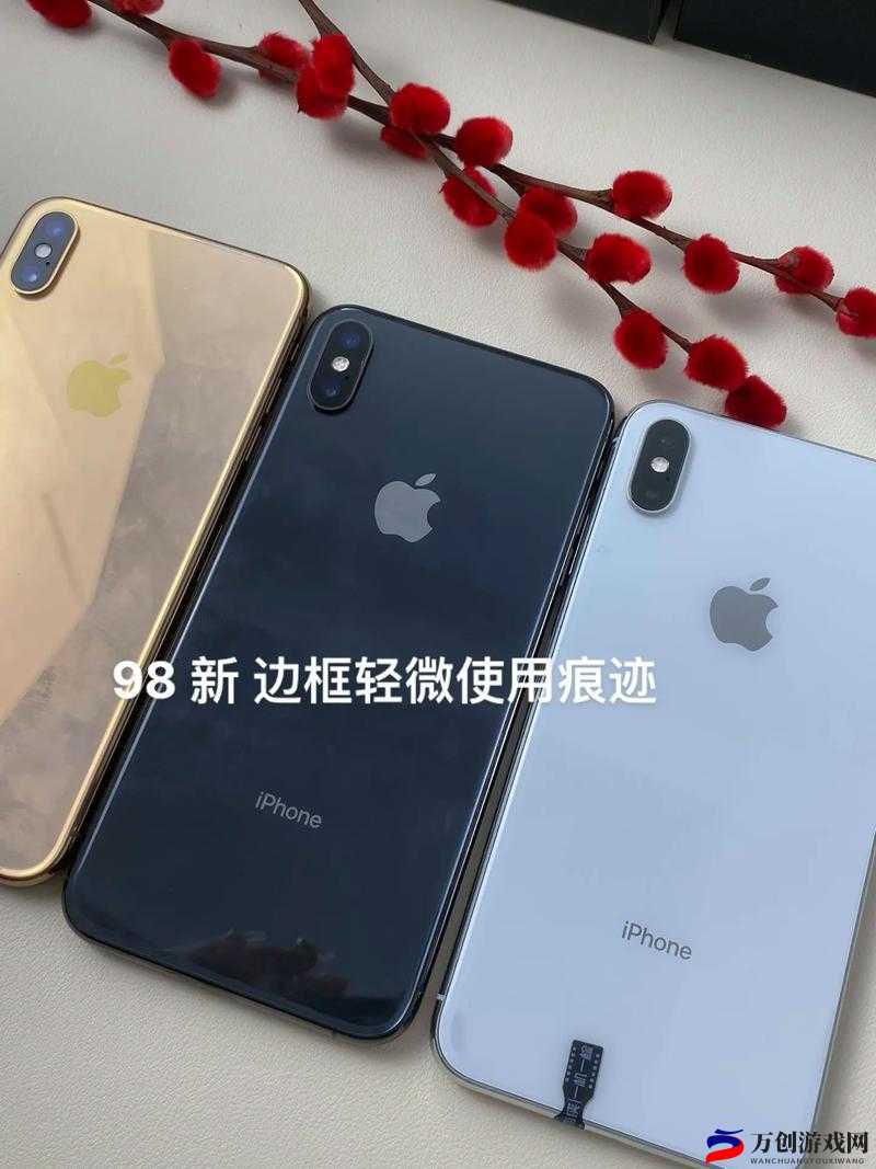 欧美 iPhone XS Max 视频：精彩呈现