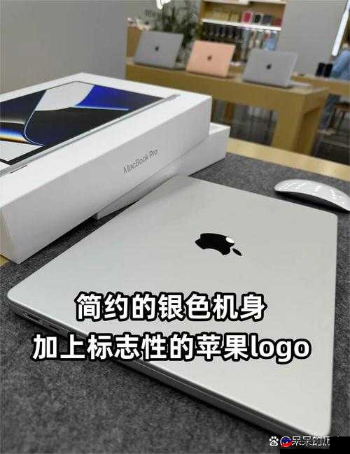 性少妇macbookpro：时尚与科技的完美融合