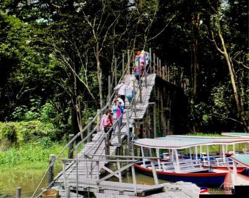 老卫把船开到河中心：一段未知的冒险之旅