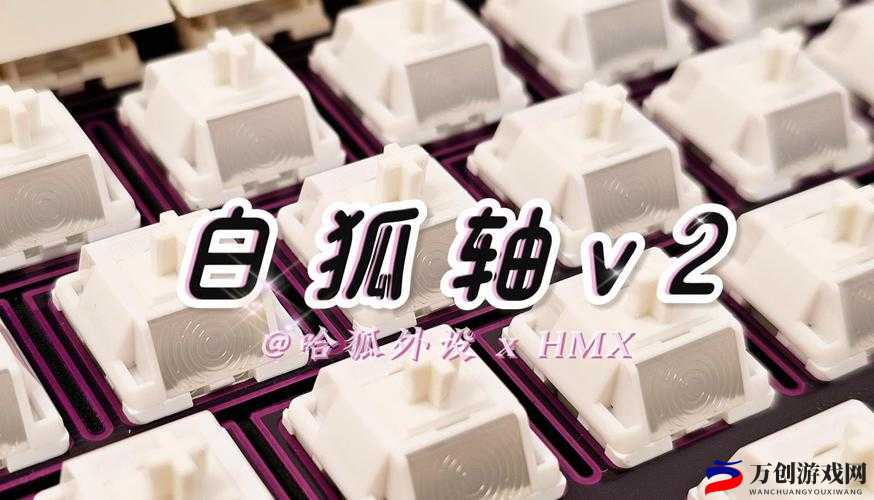 沉迷 1v2 一只小狐狸：游戏新体验