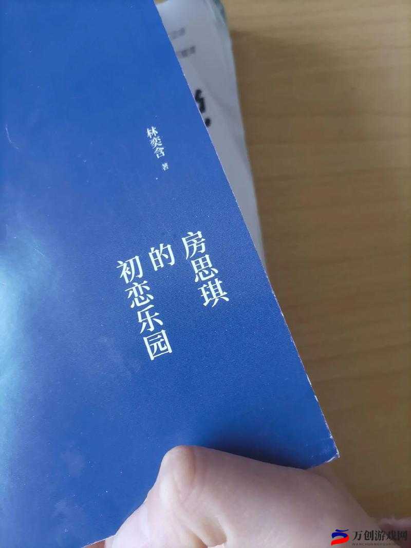 房思琪的初恋乐园：心碎与希望交织之书