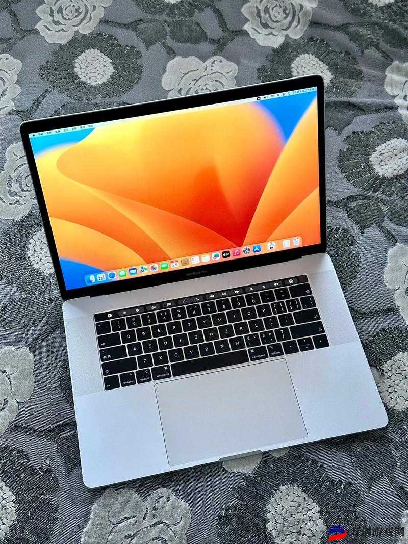 1819 岁 1819 款 MacBook Pro 高清最新版