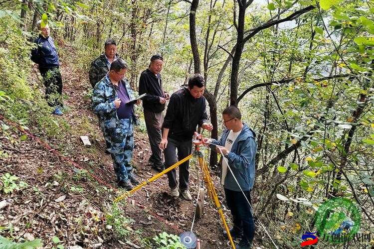 榆树老人做交易森林图片：背后的故事