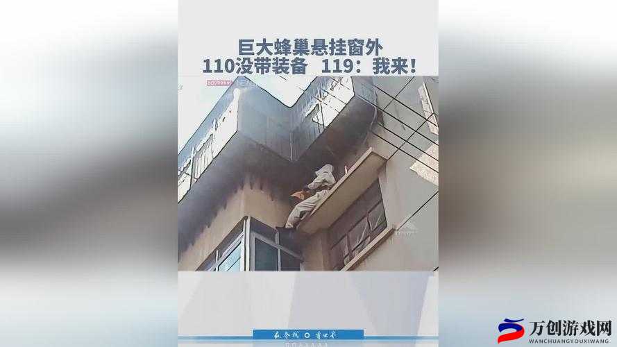 拔萝卜全程不盖被子拔萝卜的奇妙冒险