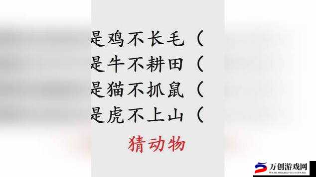 不思议迷宫观灯猜谜详细玩法攻略 教你轻松应对猜谜活动全过程