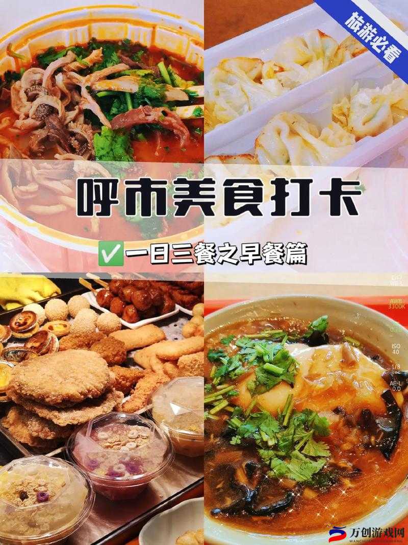 GOGOGO高清免费观看日本旅游攻略及美食推荐