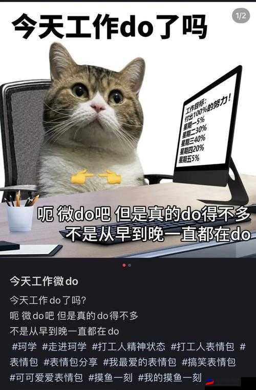 被C到起不来：一场网络语言的狂欢