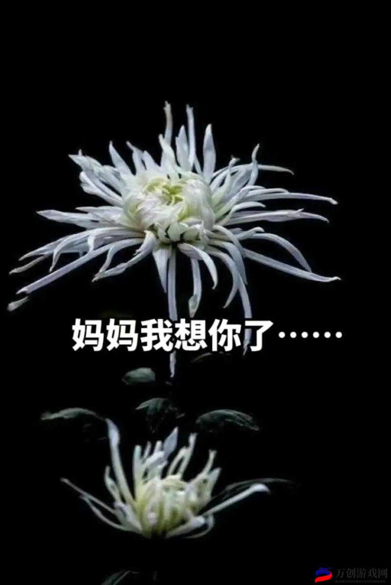 高清mv妈妈我想你看完泪目感动全网