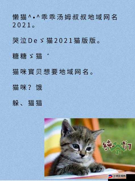 猫咪MV最新地域网名怎么改更吸引人气