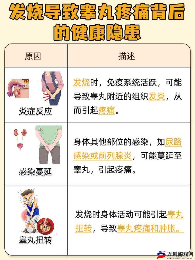 男生的蛋蛋有多痛，女生能否理解这种痛楚