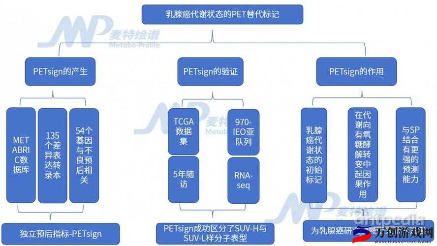 陈思雅在老徐家看病里叫啥：一个医疗谜题的解答