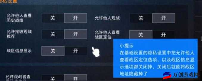 和平精英设置隐身不让人看上线攻略指南