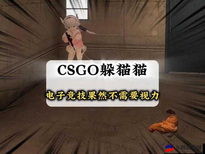 55岁大妈玩CSGO背后故事：电子竞技的意外人生