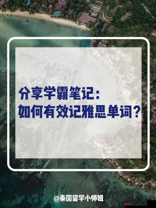 坐在学霸的大紫根上背单词：记忆法揭秘