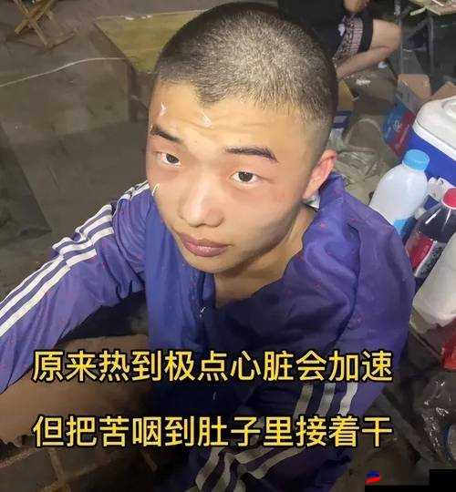 沈芯语的梦想与现实交织的青春篇章