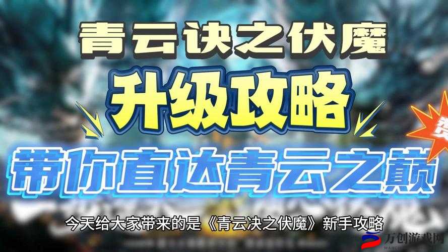 猫与密室手游通关攻略：全方位指南助你轻松解谜获胜