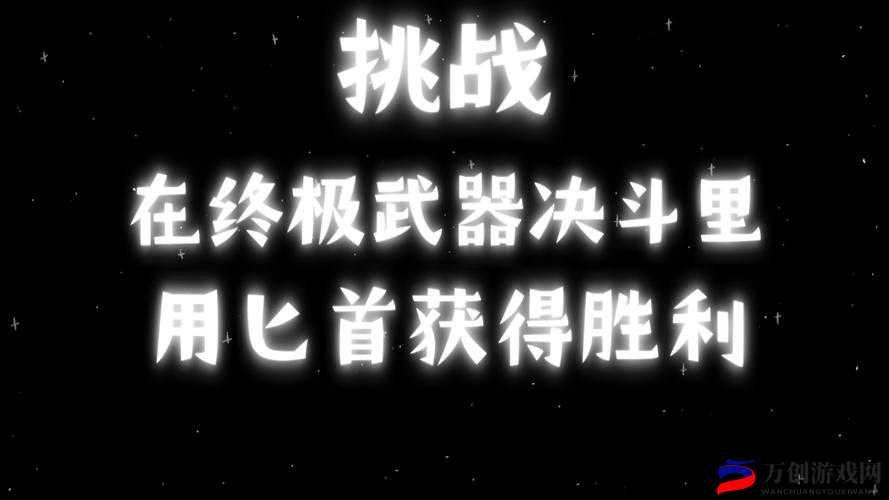 挑战技巧-暴躁老阿姨最强武器推荐：适合中老年玩家的终极攻略