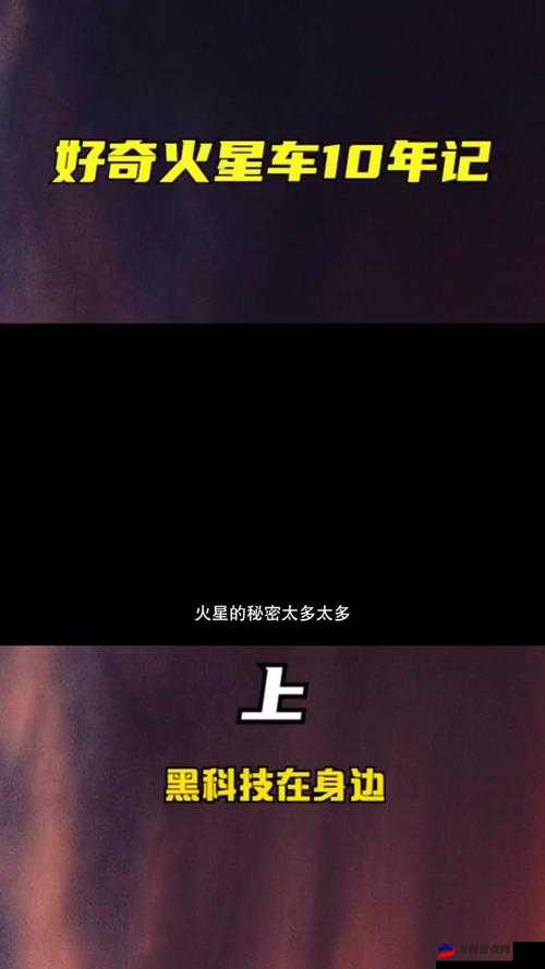 办公室奇遇记：神秘同事的秘密任务