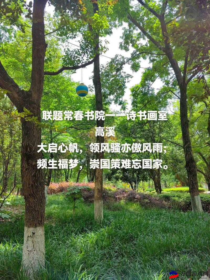 墨魂苏辙：联诗技巧与攻略详解，探索苏辙联诗的奥秘之旅