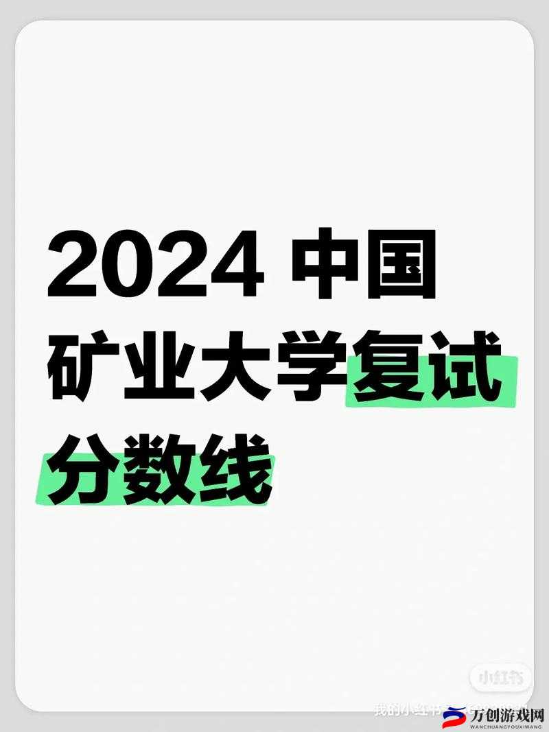 国产矿转码专一2024技术解析：创新与应用