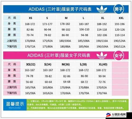 三叶草M码和欧洲码的对比分析