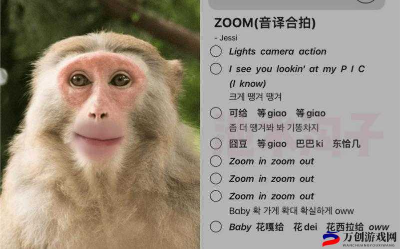 Zoom与动物Zoom：探索自然界的奇妙联结