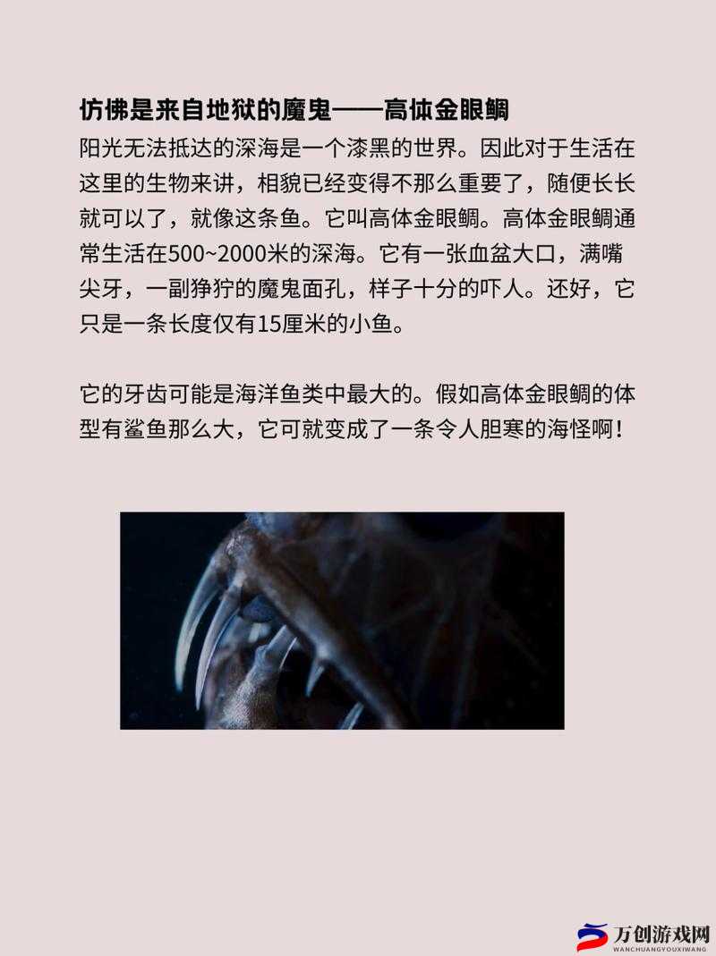 呦香8黝黝狖呦香8：探秘神秘生物的奇异世界