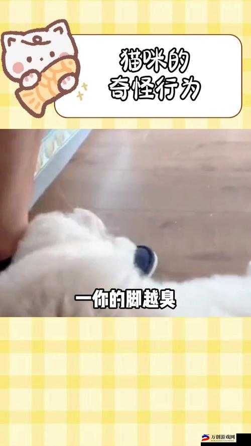 申鹤流口水翻白眼咬铁球：这是什么奇怪行为