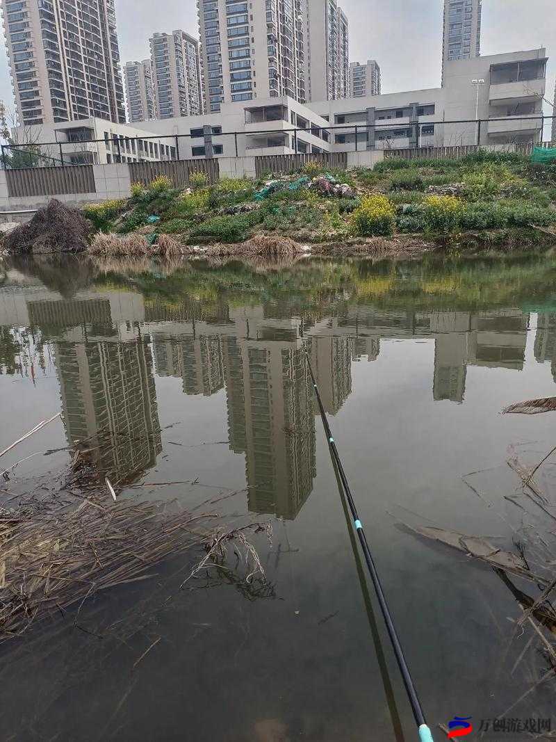 江湖垂钓：下站钓鱼胜地指南