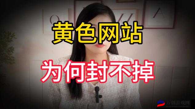 国产黄色网站免费在线观看：畅享激情无限