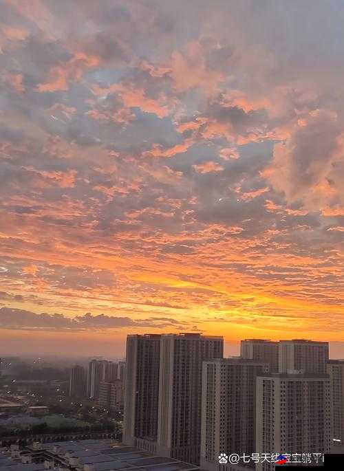 他们来自天空，精彩截图预览抢先看