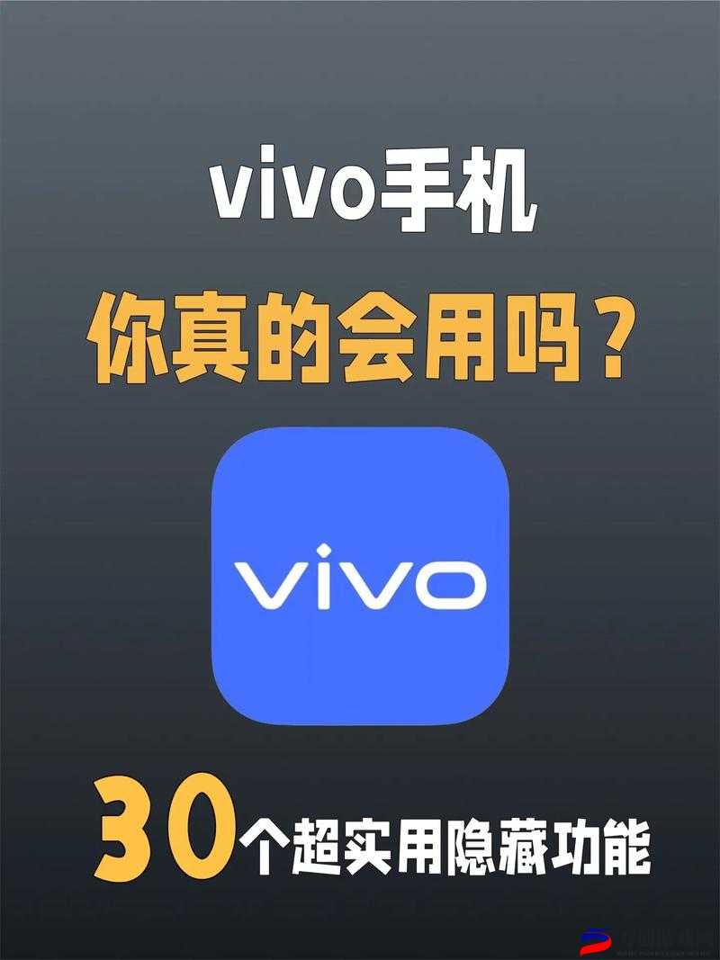 黄金软件下载3.3版vivo全新体验与功能解析助你轻松上手