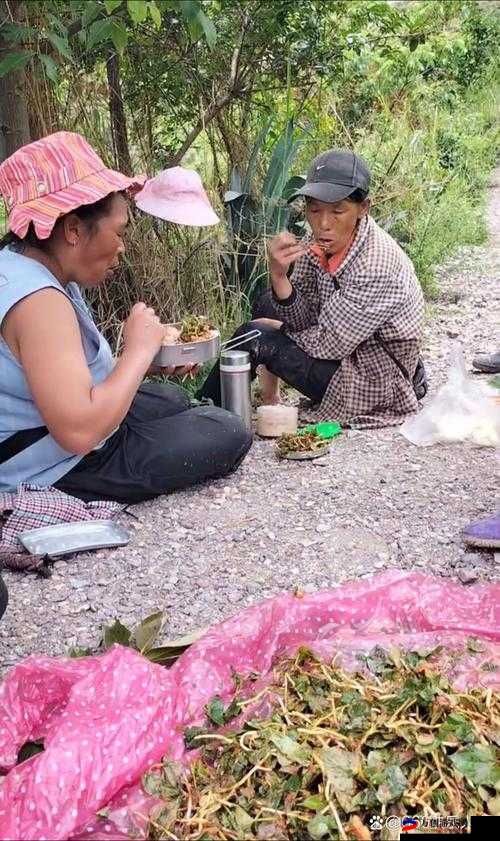 野草乱码一二三四区别究竟在哪