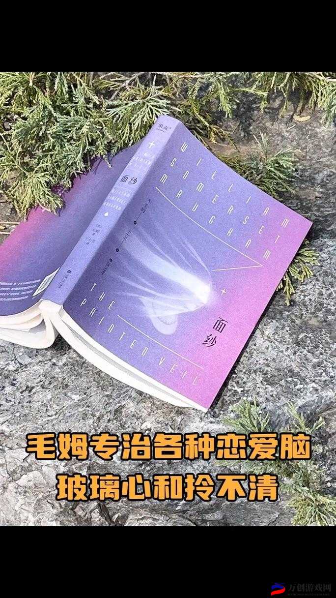 小说：探索人性与欲望的边界