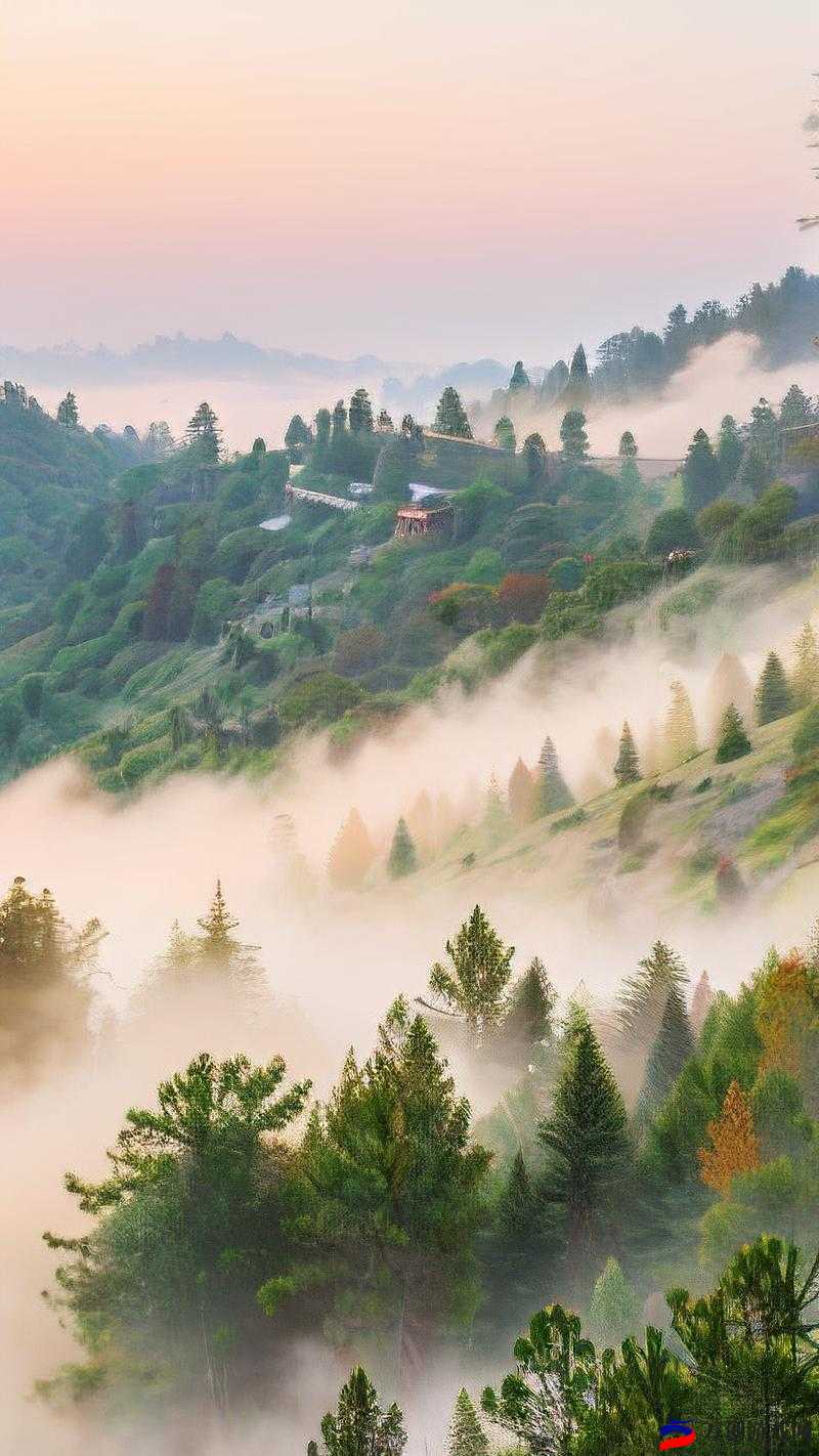 双手游走在你茂密的森林：探索未知的秘境