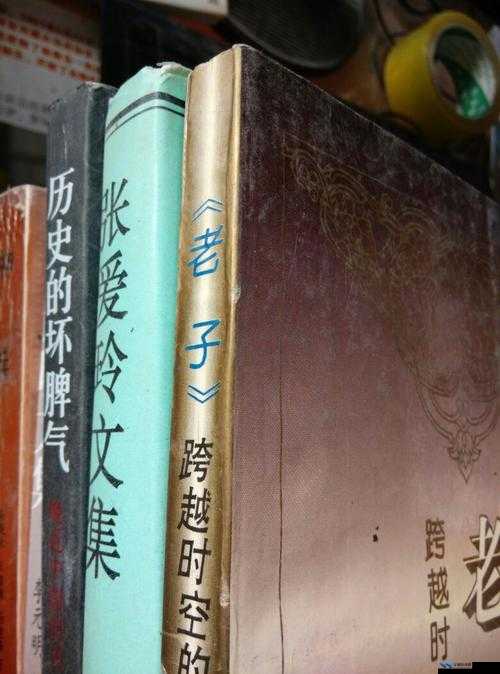 日本中老年：跨越文化的魅力与智慧