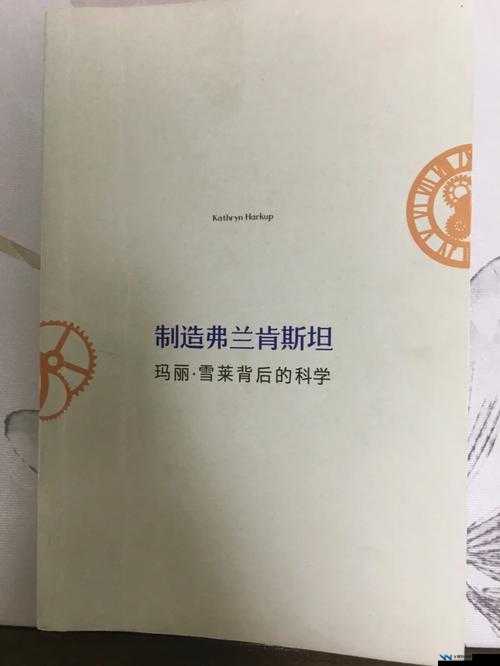 探秘国精产品 W灬源码 16：揭开神秘面纱，探寻背后的故事