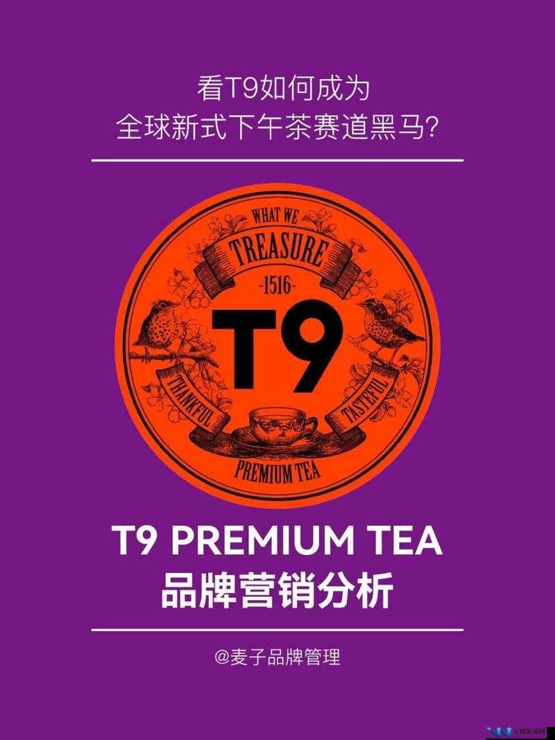 YSI 千人千色 T9T9T9T9 新品发布：开启美妆新时代的璀璨盛宴