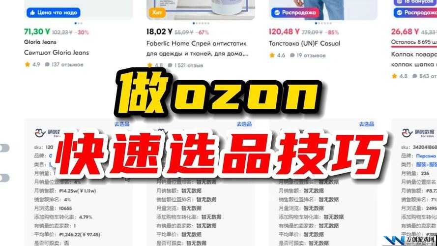 俄罗斯 ozon 选品：开启跨境电商成功之门的关键之选