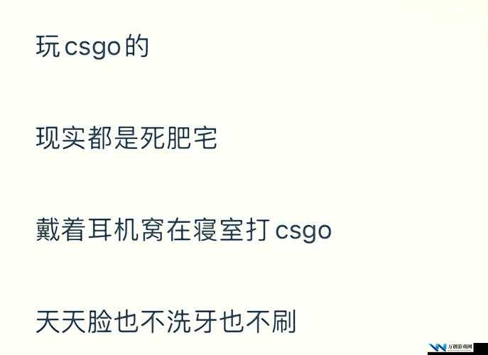 CSGO 暴躁小阿姨：无限制出入的独特魅力与故事