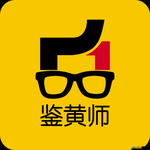 关于鉴黄师 APP 安装的相关探讨与分析