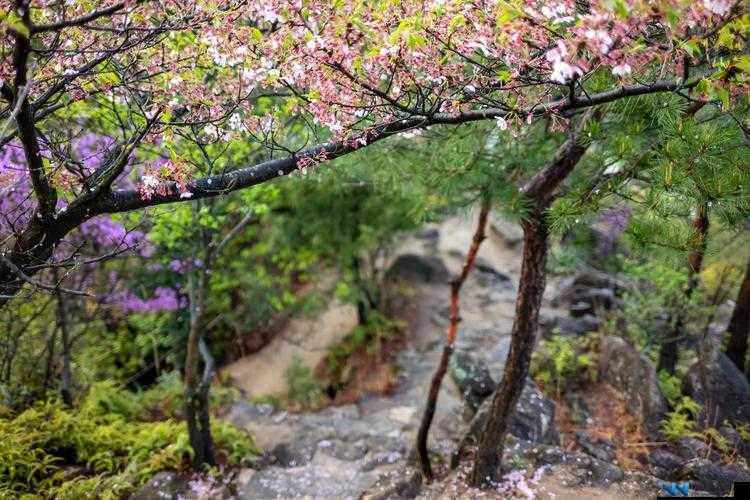 春天里最动人的风景——那一抹盎然生机的画卷