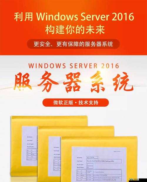 日本 Windows Server 总结 深入剖析其技术特点与应用场景