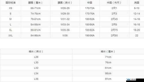 欧洲多尺码 3538：呈现多样选择与优质体验